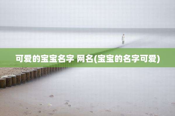 可爱的宝宝名字 网名(宝宝的名字可爱)