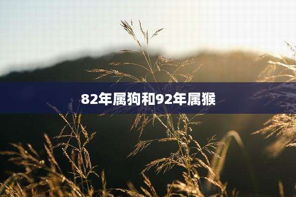 82年属狗和92年属猴
