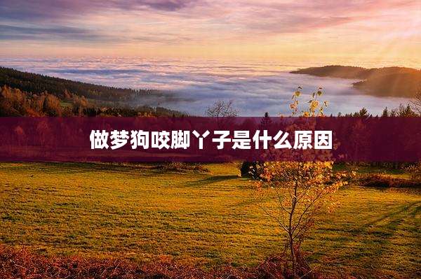 做梦狗咬脚丫子是什么原因