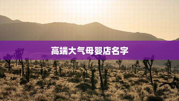 高端大气母婴店名字