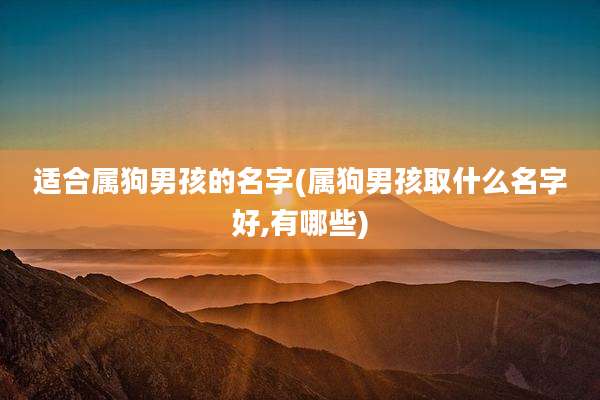 适合属狗男孩的名字(属狗男孩取什么名字好,有哪些)