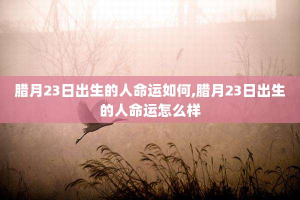 腊月23日出生的人命运如何,腊月23日出生的人命运怎么样