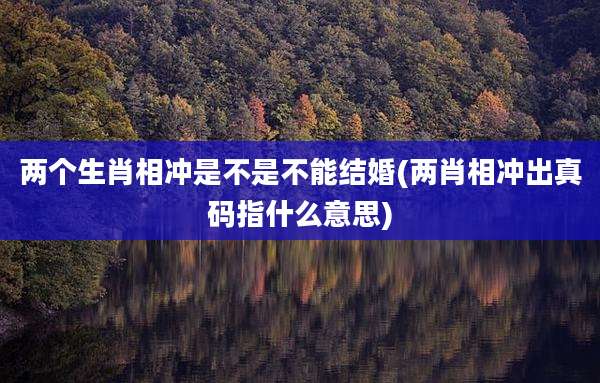 两个生肖相冲是不是不能结婚(两肖相冲出真码指什么意思)