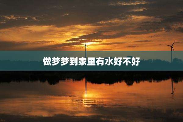 做梦梦到家里有水好不好