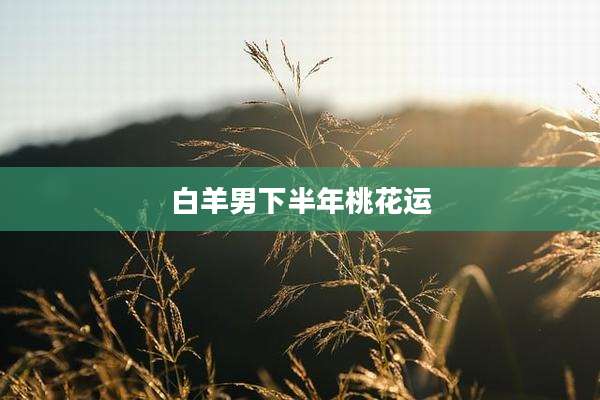 白羊男下半年桃花运