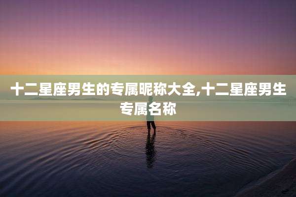 十二星座男生的专属昵称大全,十二星座男生专属名称