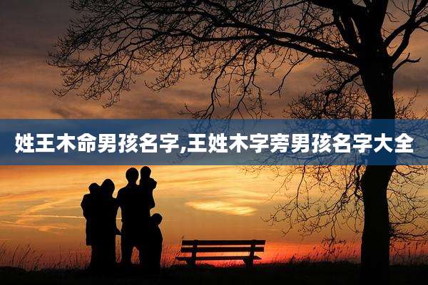 姓王木命男孩名字,王姓木字旁男孩名字大全