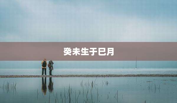 癸未生于巳月