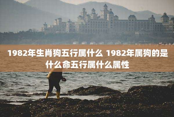 1982年生肖狗五行属什么 1982年属狗的是什么命五行属什么属性