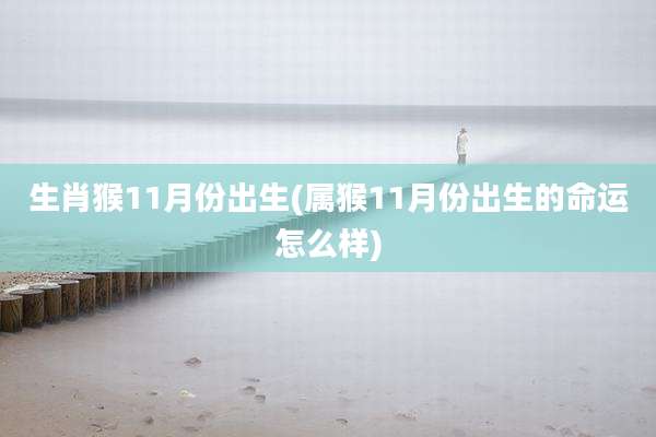 生肖猴11月份出生(属猴11月份出生的命运怎么样)