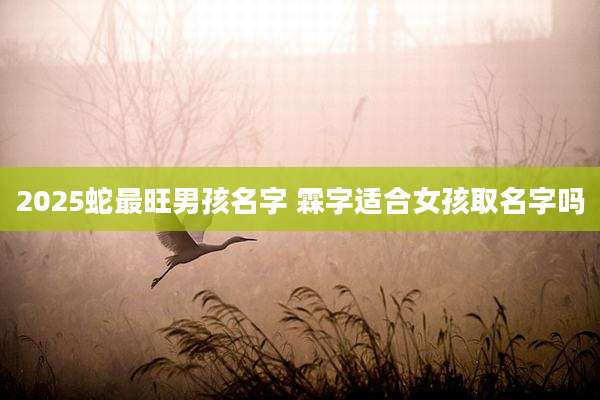 2025蛇最旺男孩名字 霖字适合女孩取名字吗