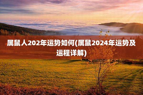 属鼠人202年运势如何(属鼠2024年运势及运程详解)
