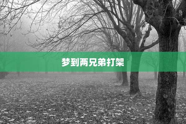 梦到两兄弟打架