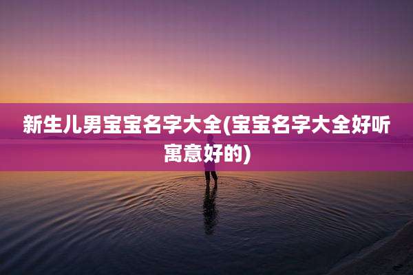 新生儿男宝宝名字大全(宝宝名字大全好听寓意好的)