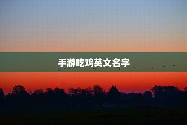 手游吃鸡英文名字