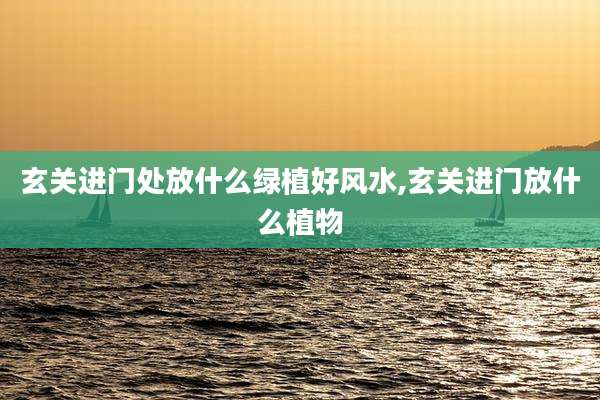 玄关进门处放什么绿植好风水,玄关进门放什么植物