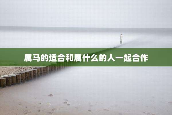 属马的适合和属什么的人一起合作