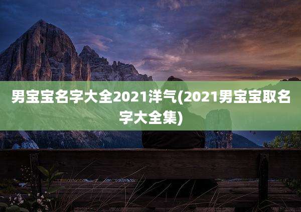 男宝宝名字大全2021洋气(2021男宝宝取名字大全集)