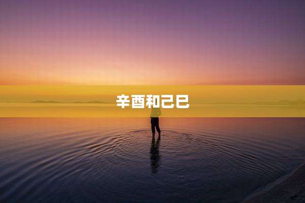 辛酉和己巳