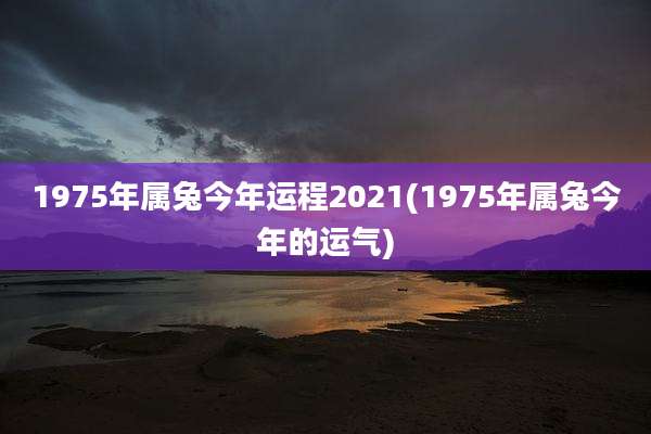 1975年属兔今年运程2021(1975年属兔今年的运气)