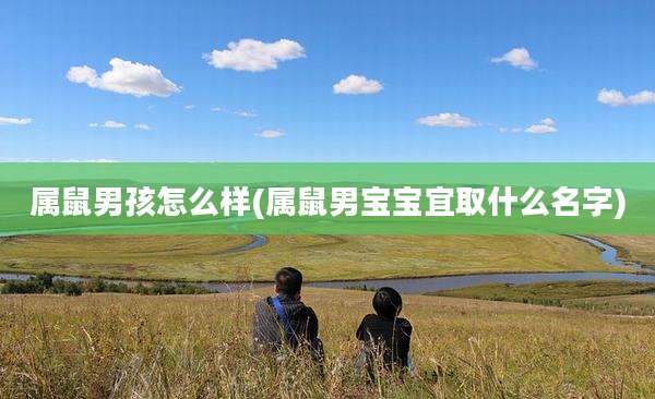 属鼠男孩怎么样(属鼠男宝宝宜取什么名字)
