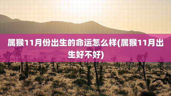 属猴11月份出生的命运怎么样(属猴11月出生好不好)