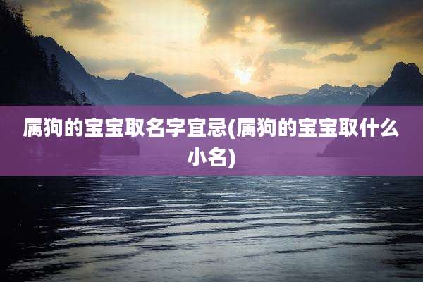 属狗的宝宝取名字宜忌(属狗的宝宝取什么小名)