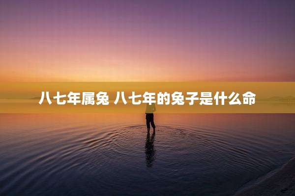 八七年属兔 八七年的兔子是什么命