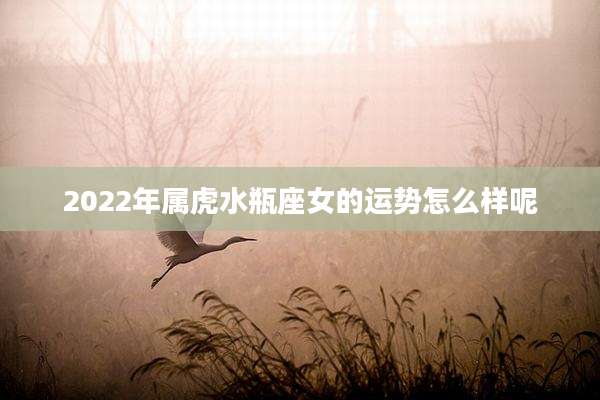 2022年属虎水瓶座女的运势怎么样呢