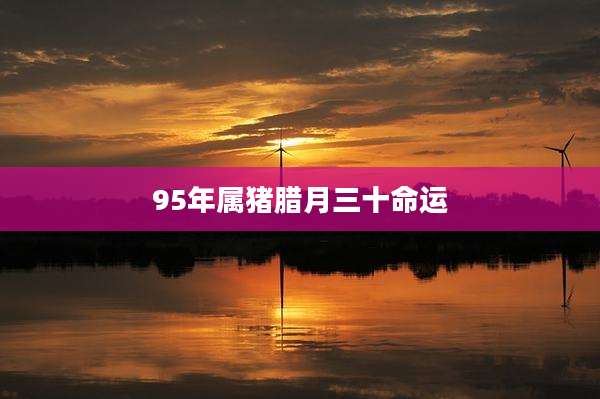 95年属猪腊月三十命运