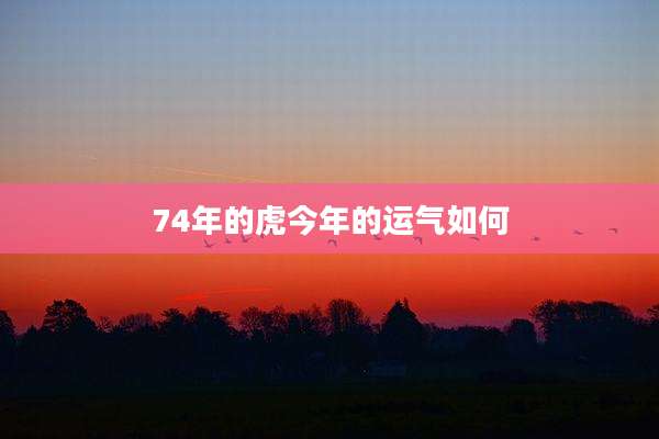 74年的虎今年的运气如何