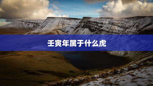 壬寅年属于什么虎