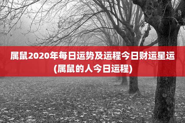 属鼠2020年每日运势及运程今日财运星运(属鼠的人今日运程)