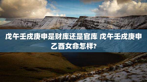 戊午壬戌庚申是财库还是官库 戊午壬戌庚申乙酉女命怎样?