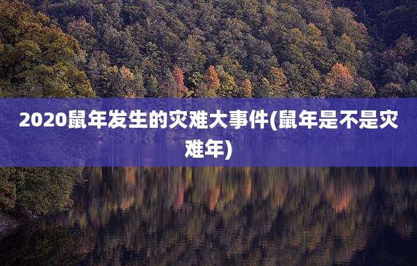 2020鼠年发生的灾难大事件(鼠年是不是灾难年)