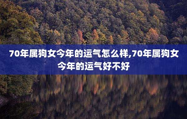 70年属狗女今年的运气怎么样,70年属狗女今年的运气好不好