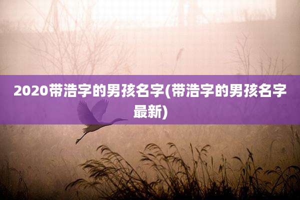 2020带浩字的男孩名字(带浩字的男孩名字最新)