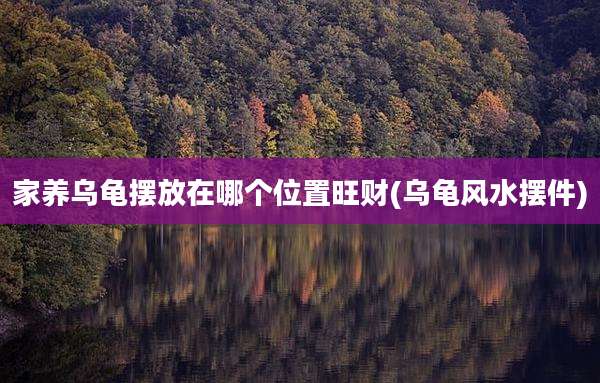 家养乌龟摆放在哪个位置旺财(乌龟风水摆件)