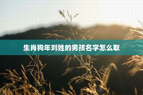 生肖狗年刘姓的男孩名字怎么取