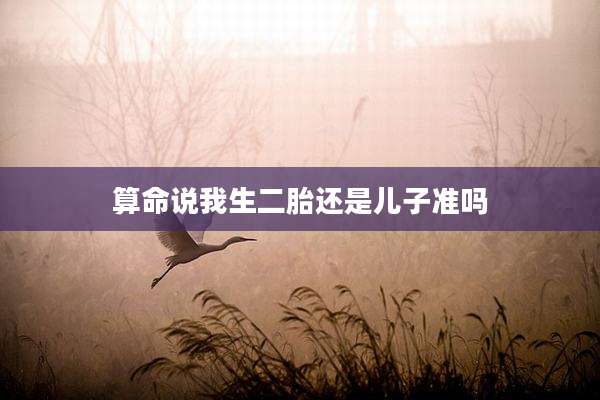 算命说我生二胎还是儿子准吗