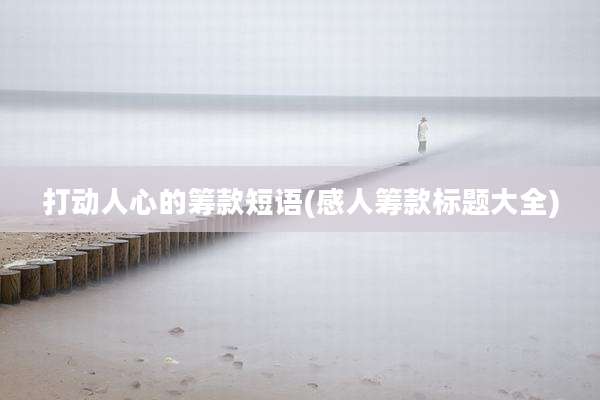 打动人心的筹款短语(感人筹款标题大全)