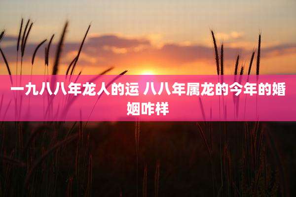 一九八八年龙人的运 八八年属龙的今年的婚姻咋样