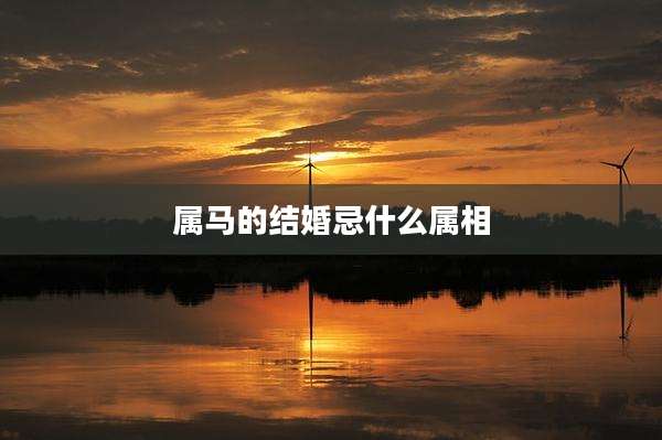 属马的结婚忌什么属相