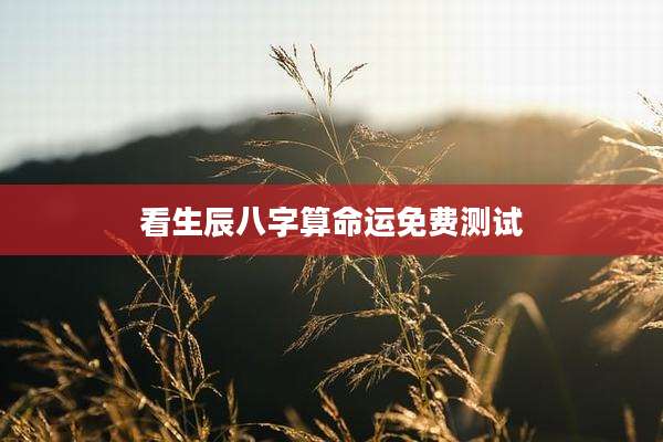 看生辰八字算命运免费测试