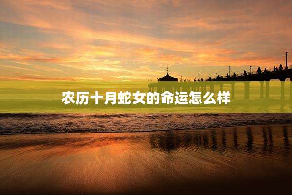 农历十月蛇女的命运怎么样