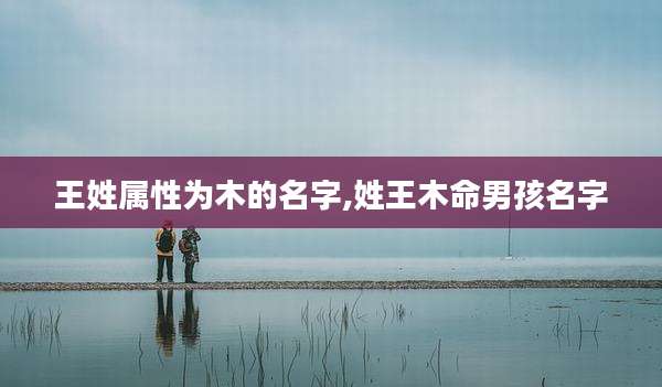 王姓属性为木的名字,姓王木命男孩名字