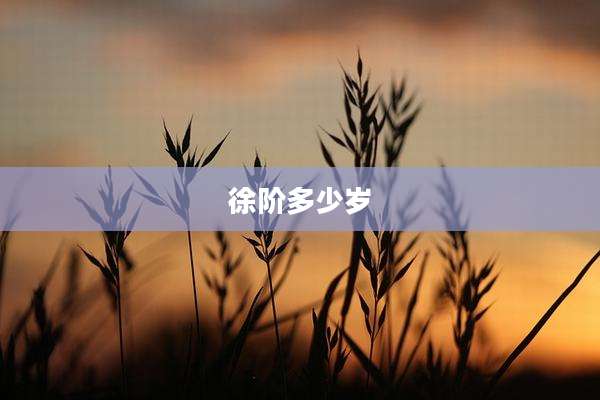 徐阶多少岁