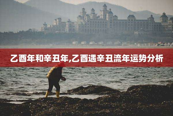 乙酉年和辛丑年,乙酉遇辛丑流年运势分析