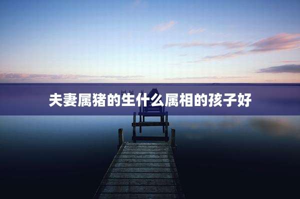 夫妻属猪的生什么属相的孩子好
