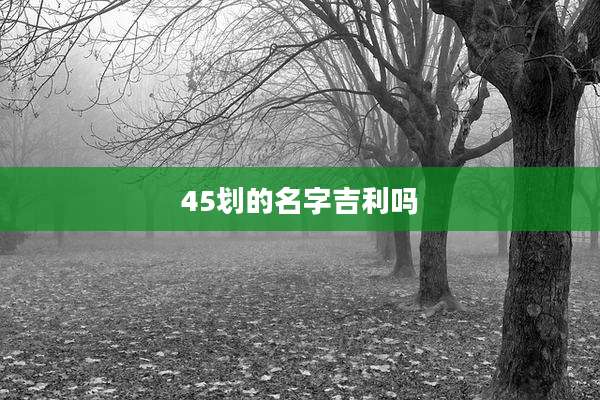 45划的名字吉利吗